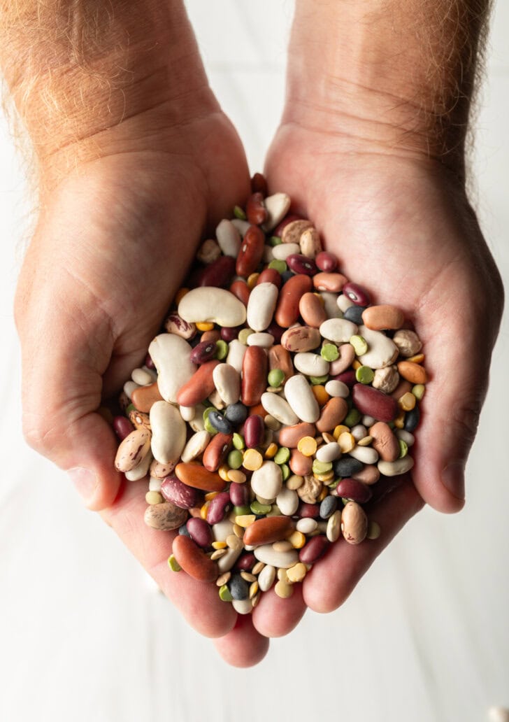 Two hands holding dry 15 bean soup blend.