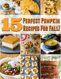 15 Perfect Pumpkin Recipes for Fall | ASpicyPerspective.com