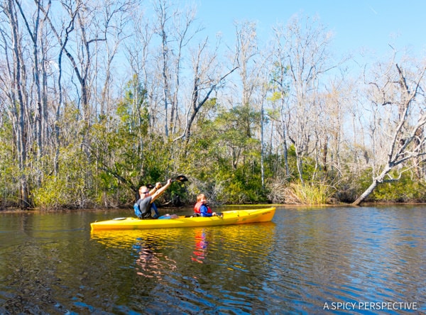Kayaking - Visit Amelia Island, Florida | ASpicyPerspective.com