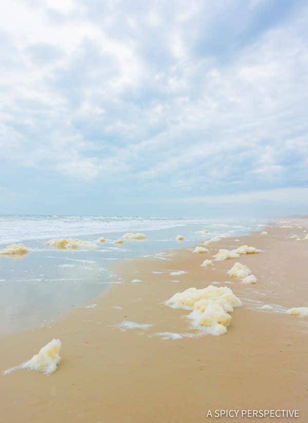 Sea foam - Amelia Island, Florida Travel Planning Tips | ASpicyPerspective.com