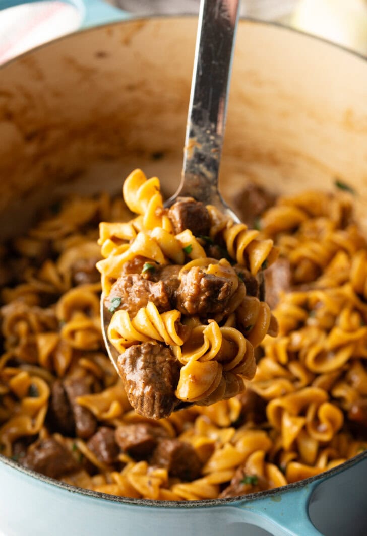 Metal spoon over the cooking pot, showing a spoonful of noodles and meat to camera.