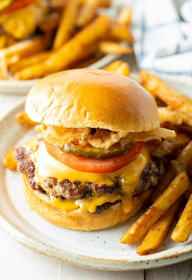 Cheeseburger served on a plate with fries. 