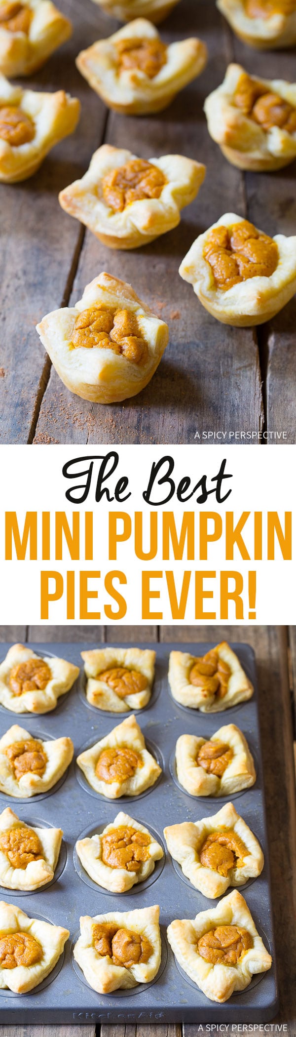 The Best Mini Pumpkin Pies EVER on ASpicyPerspective.com - One bite will convince you!