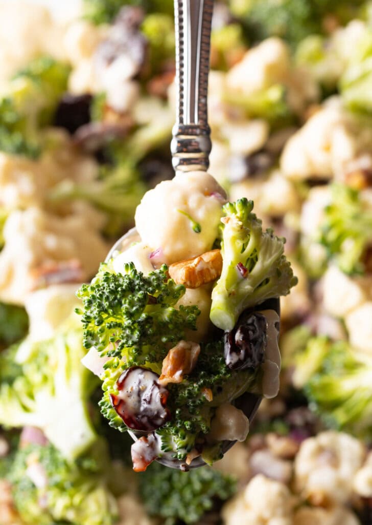 Spoon full of broccoli, pecan, onion, cranberry, and cauliflower salad held to camera.