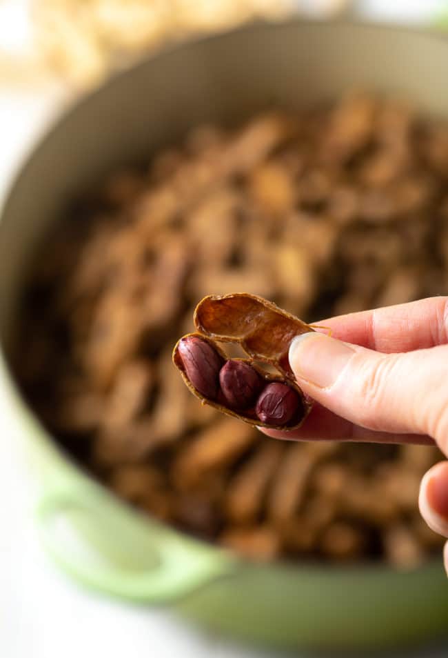 Hand holding an open shelled peanut with three nuts in it with a pot of more peanuts in the background. 