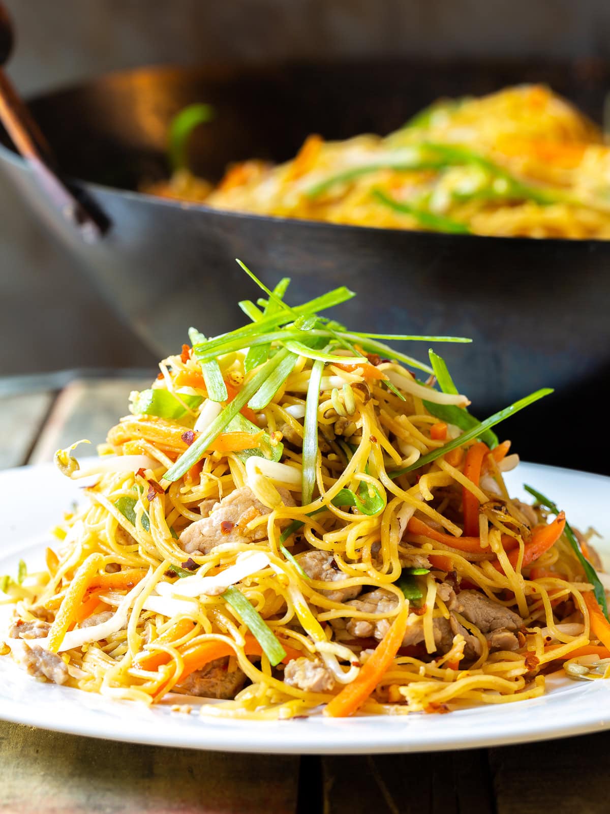 Large plate of pork lo mein. 