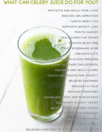 Celery Juice Benefits #ASpicyPerspective #celery #celeryjuice #celeryjuicebenefits #medicalmedium #cleanse #healing