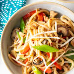 Top down view of a bowl of chicken yaki udon topped with green scallion slices and mung beans.