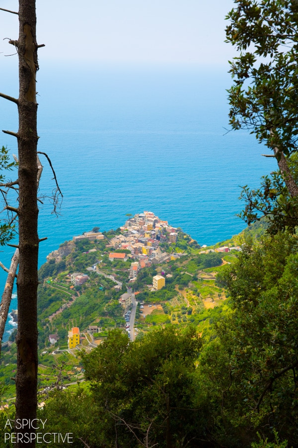 Hike the Cinque Terre, Italy #travel #italy #cinqueterre