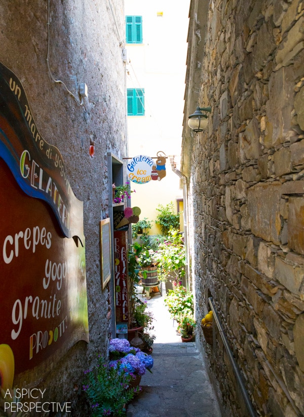 Gelato - Cinque Terre, Italy #travel #italy #cinqueterre