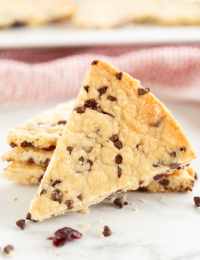 Cranberry Chocolate Chip Shortbread Cookies Recipe #ASpicyPerspective #christmas #holidays
