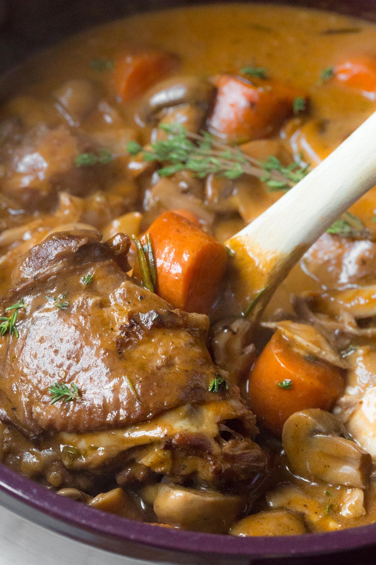 Creamy Chicken Coq au Vin Recipe - large pieces of chicken with sauce and herbs