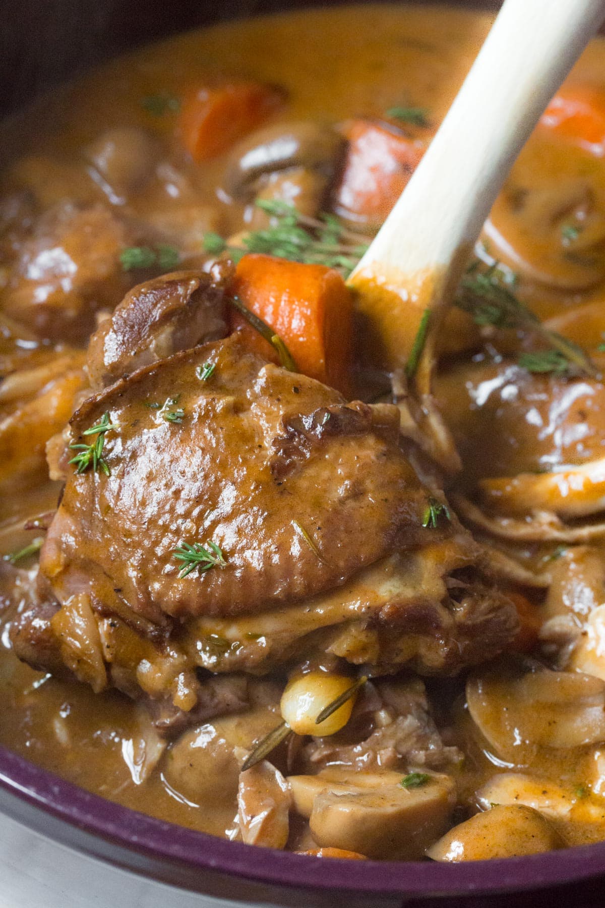 Creamy Coq au Vin Recipe - close up piece of chicken.