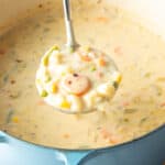 Large cooking pot with creamy vegetable soup, with a ladle showing a scoop to camera.