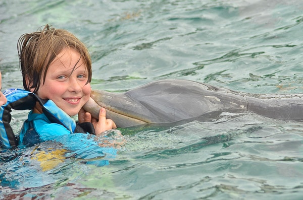 Dolphin Discovery in Cozumel, Mexico