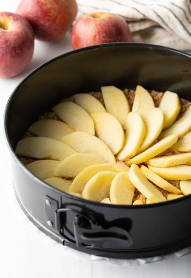 Slices of apple arranged in a spiral shape inside a springform baking pan.