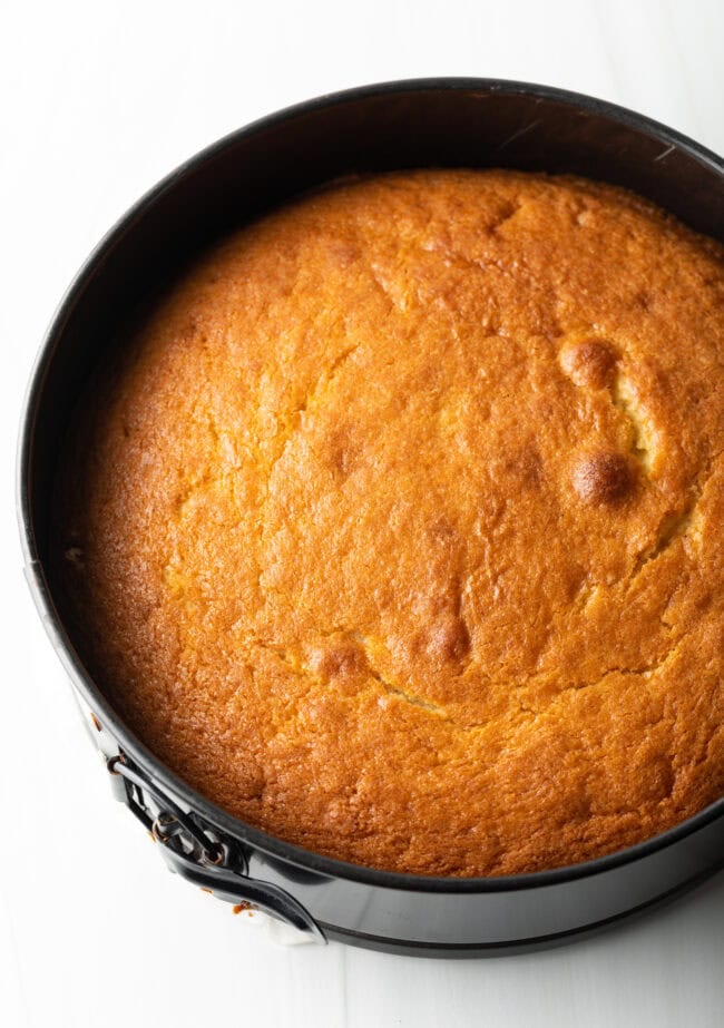 Baked cake in a springform pan.