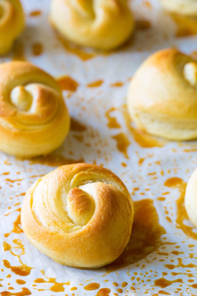 Yeast rolls lined up on a baking sheet lined with parchment paper after being baked. 