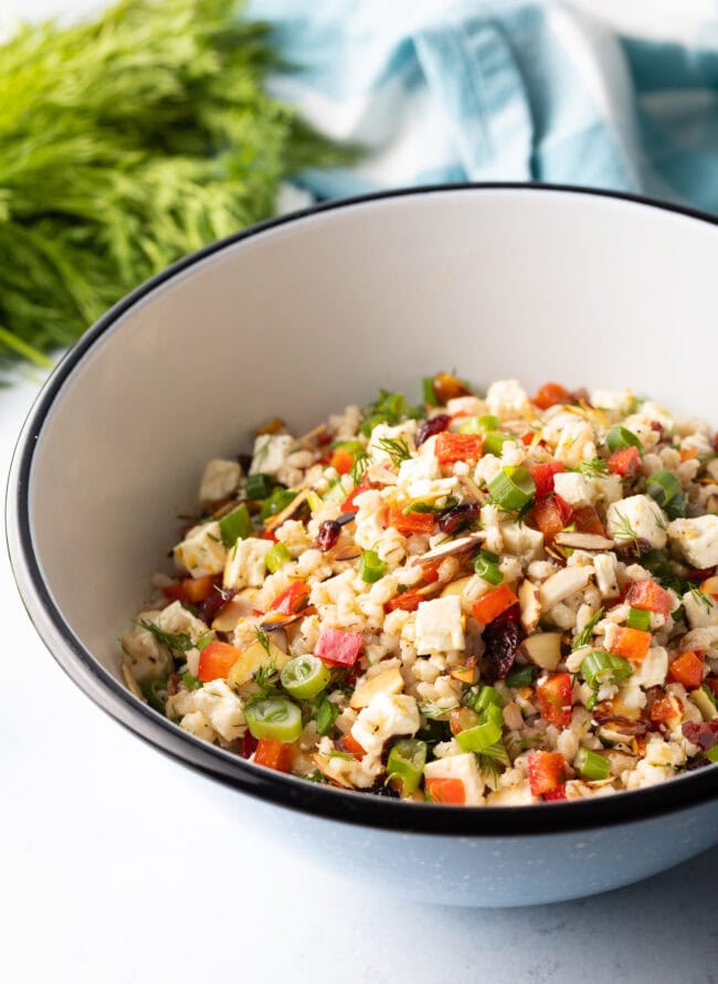 Salad with ancient grains, chopped herbs, peppers, and cheese tossed with lemon vinaigrette.