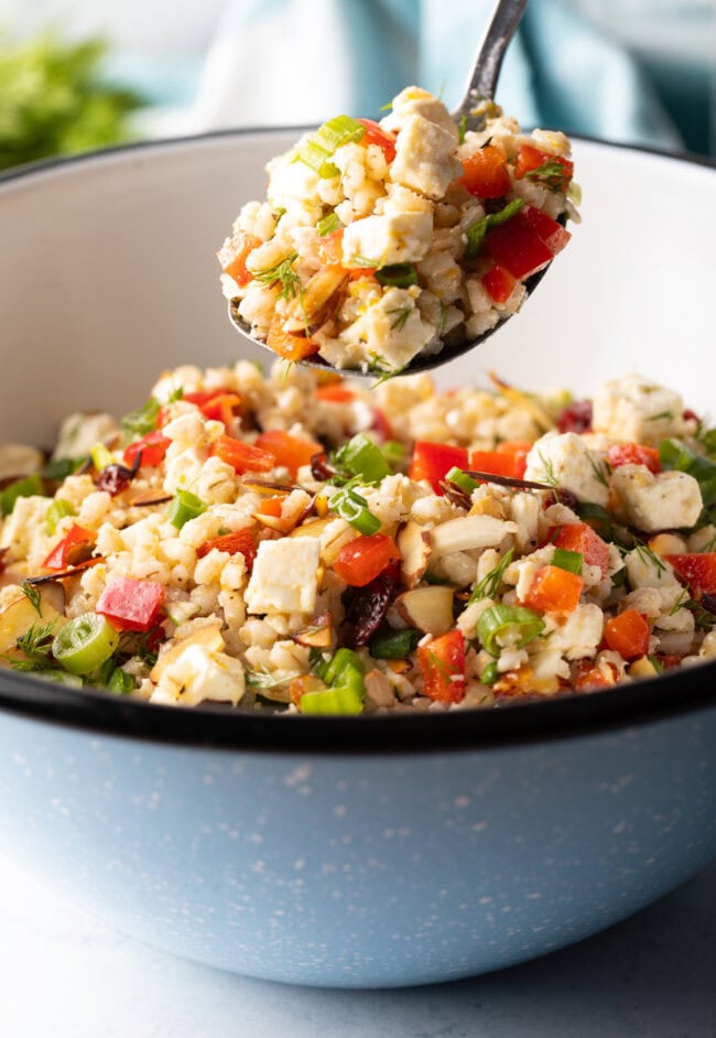 Metal spoon showing finished pearl barley and veggie salad to camera.