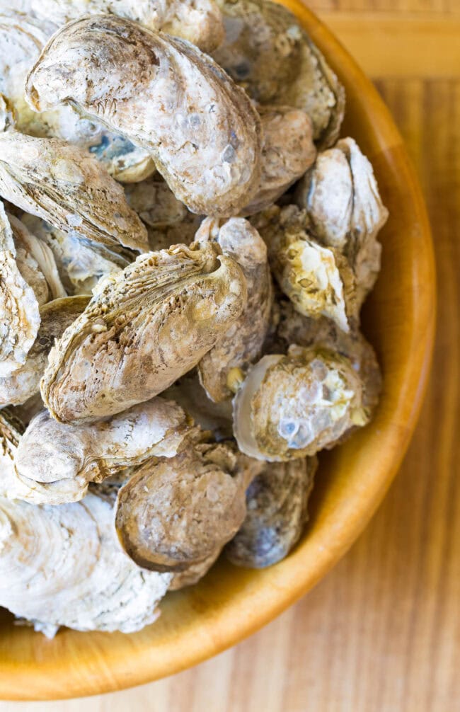 How to Shuck Oysters - bowl full of raw oysters
