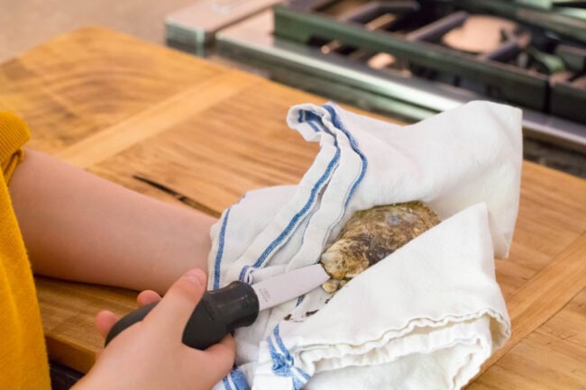 shucking oysters wrapped in cloth