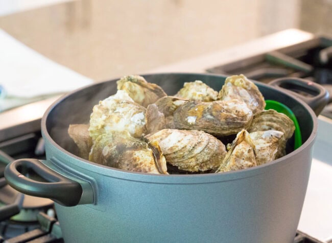 showing steamed oysters in pot