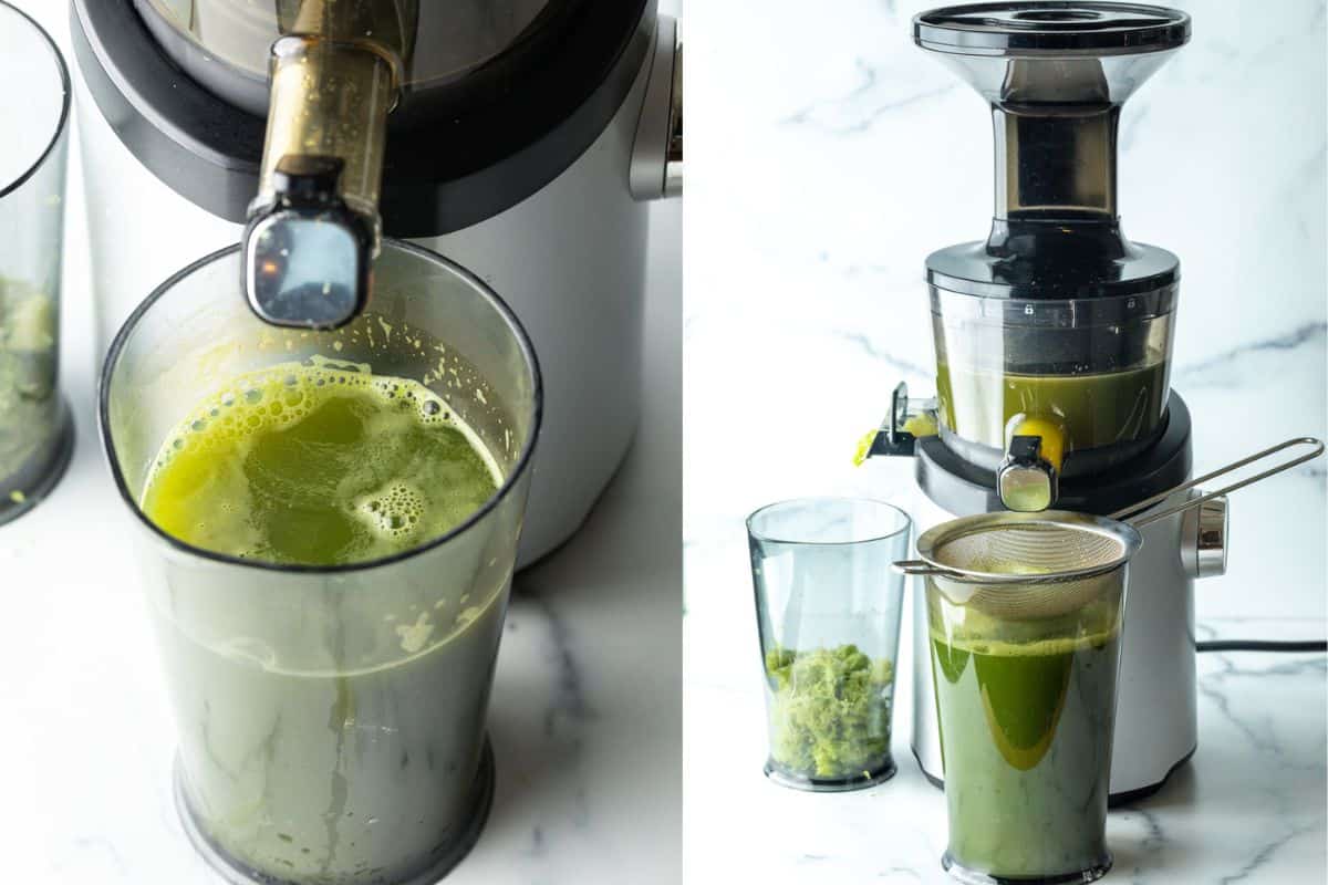 Best celery juicers