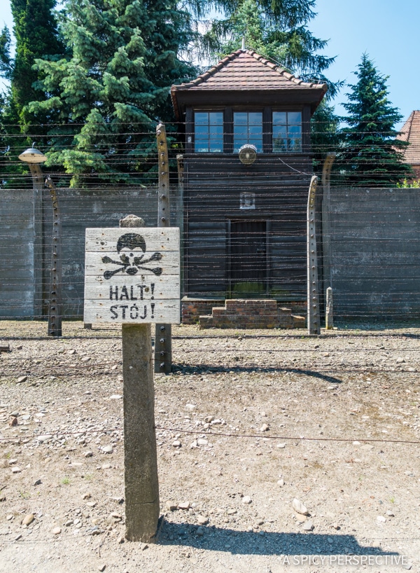 Auschwitz - Top 10 Reasons to Visit Krakow, Poland | ASpicyPerspective.com #travel