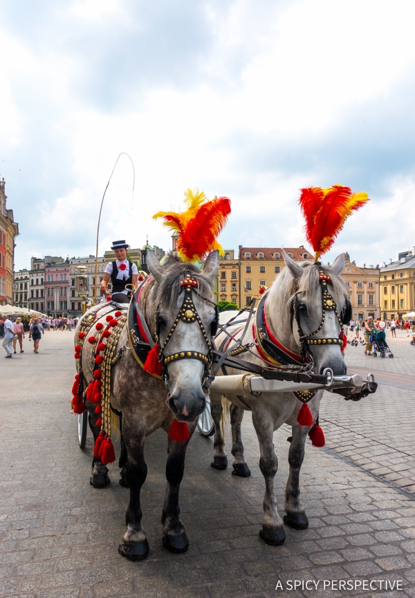 Horse Ride - Top 10 Reasons to Visit Krakow, Poland | ASpicyPerspective.com #travel
