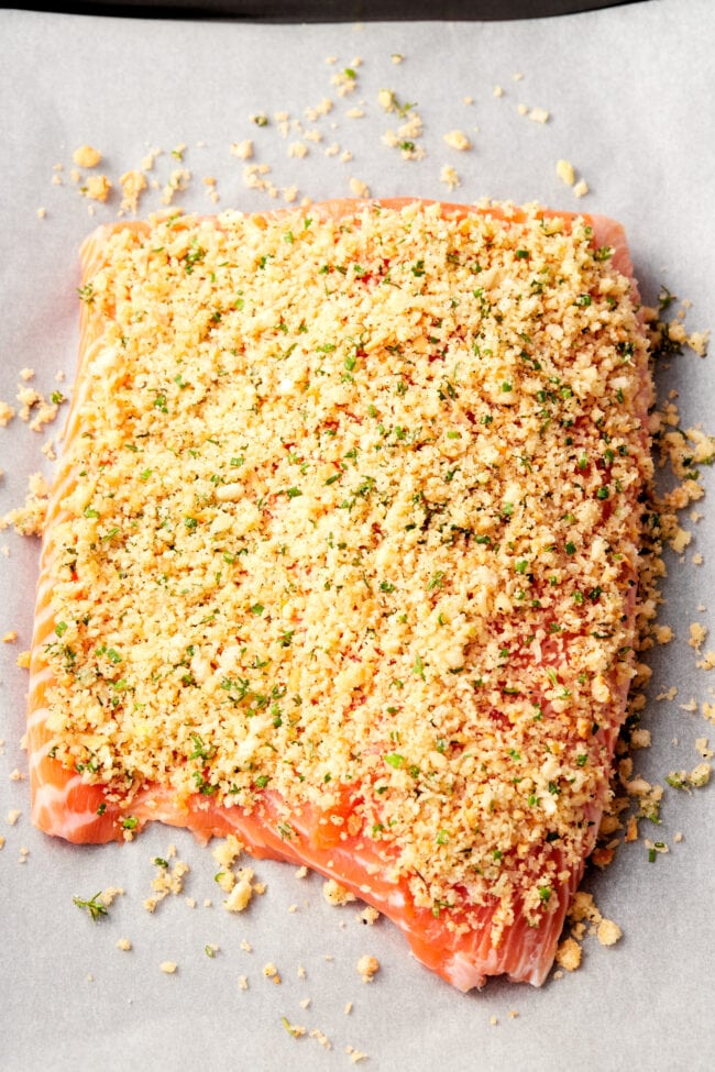 Parmesan Crusted Salmon - Baked Salmon with parmesan crust on parchment paper before being baked. 