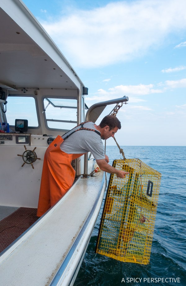 Lobstering - Lucky Catch Cruises in Portland, Maine Coast Crawl on ASpicyPerspective.com #travel 