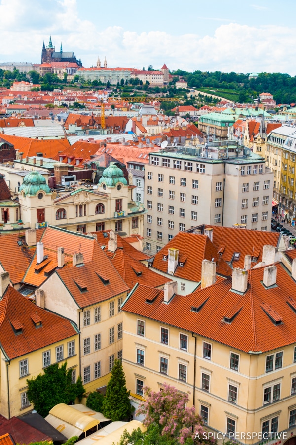 Library View - Top 10 Reasons to Visit Prague, Czech Republic | ASpicyPerspective.com #travel #europe