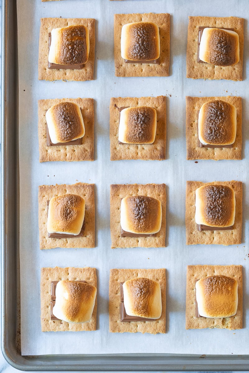 Overhead shot of graham crackers with chocolate and marshmallows after being broiled. 