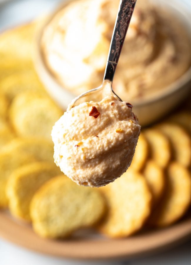 spoon with scoop of cheese dip held close to the camera