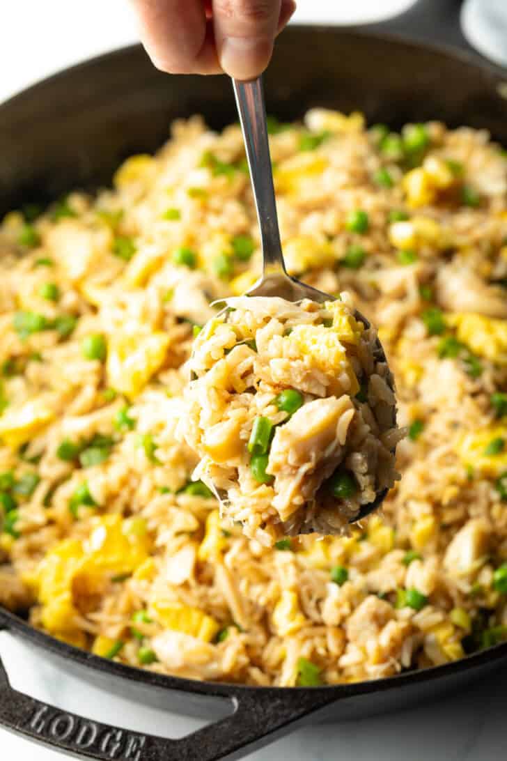 Spoon holding a spoonful of crab fried rice to camera.