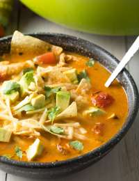 The Best Easy Chicken Tortilla Soup Recipe #ASpicyPerspective #instantpot #slowcooker
