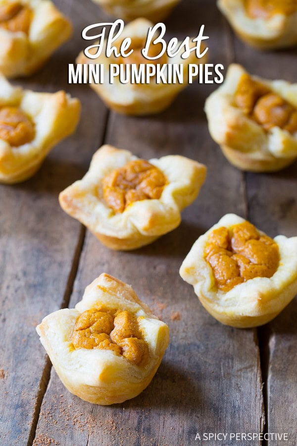 The Best Mini Pumpkin Pies EVER on ASpicyPerspective.com! True love after one bite!!