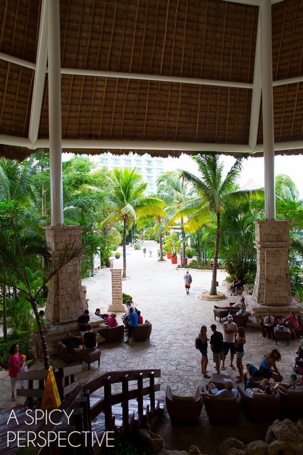 Shop - Things to do in Cozumel, Mexico! #Travel #Mexico