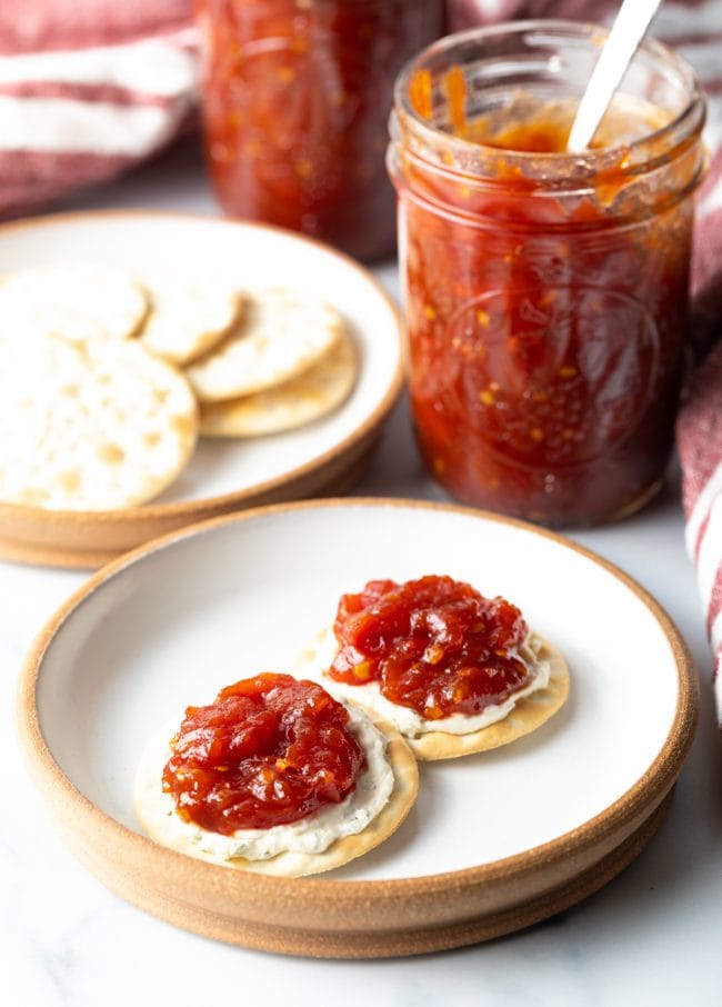 Two crackers on a plate with cheese and tomato jam.