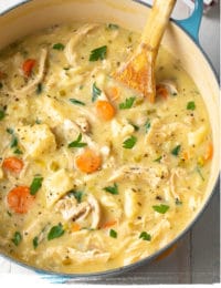 Awesome Chicken and Dumplings Recipe #ASpicyPerspective #easy #comfortfood #southern #dumplings #chicken #crockpot #slowcooker #instantpot