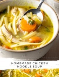 BEST CHICKEN NOODLE SOUP