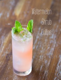 Watermelon Cocktail - the Watermelon Shrub Collins!