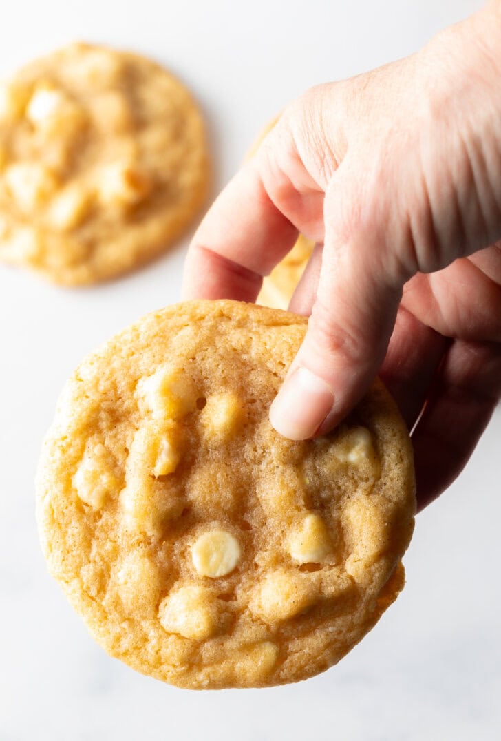 Hand holding a cookie with white chocolate chips and macadamia nuts.